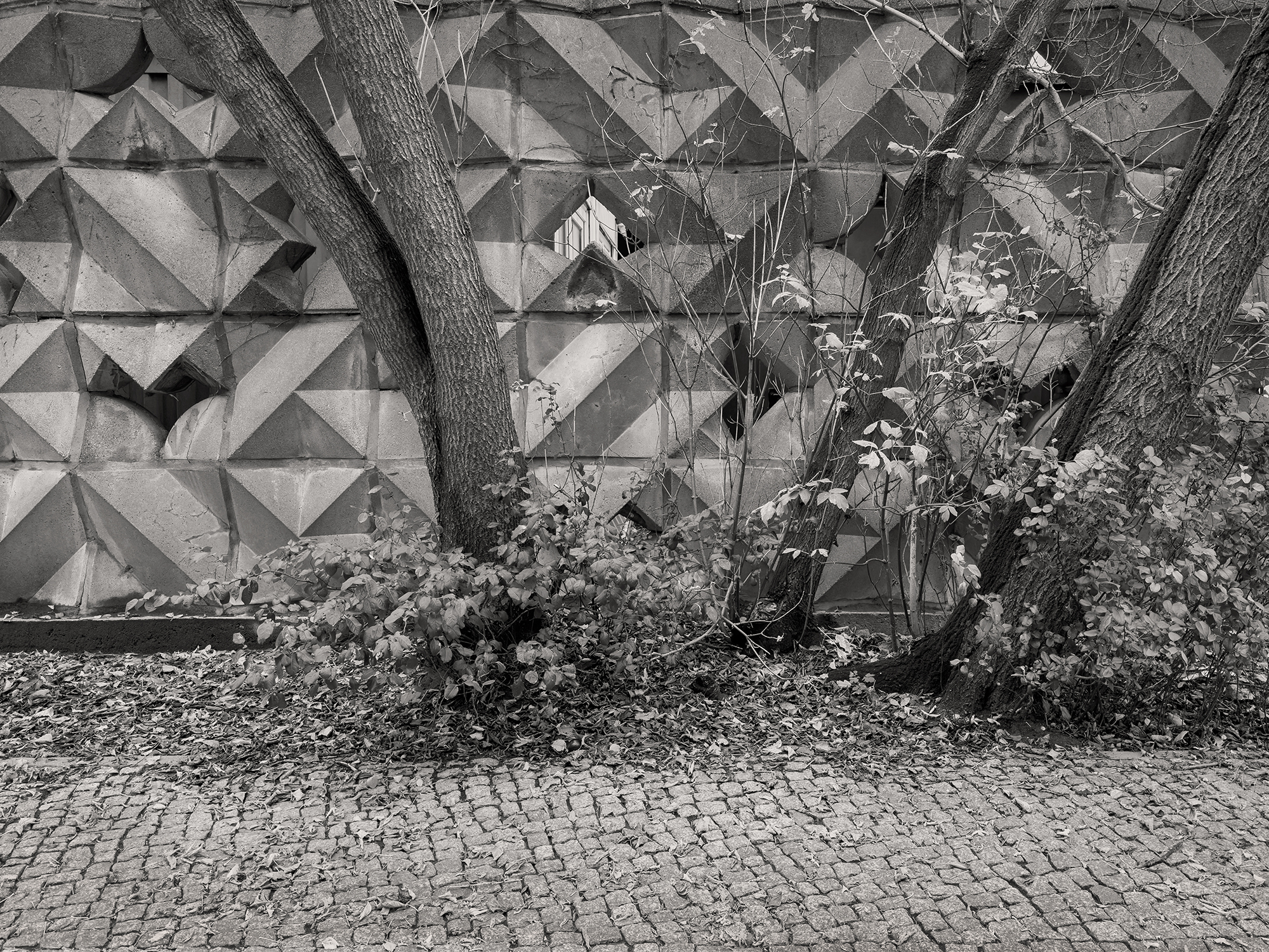 Christoph Radke, Berlin, Schützenstraße, 2023